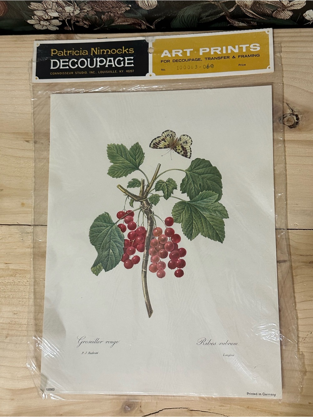 Vintage 1970s German Groseiller Rouge Berry art print